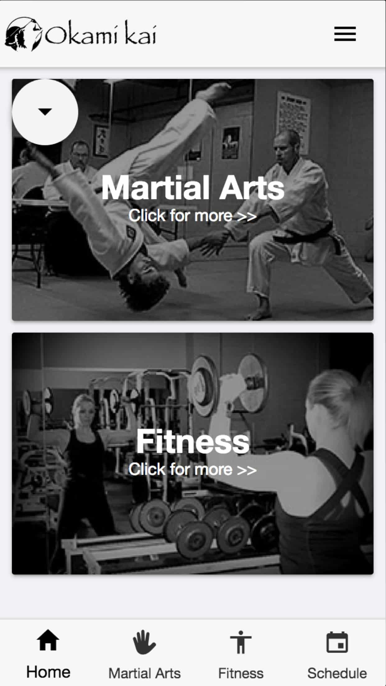 Okami Kai Martial Arts & Fitness Screen Shot